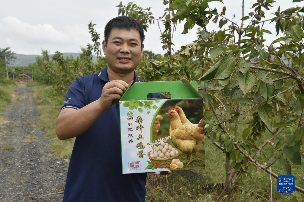 满贯捕鱼安卓